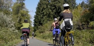 Yelm Tenino Trail Biking Path