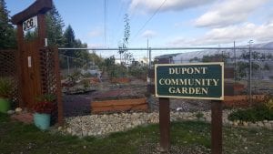 Dupont Community Garden