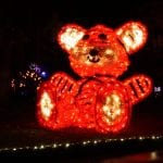 Fantasy Lights