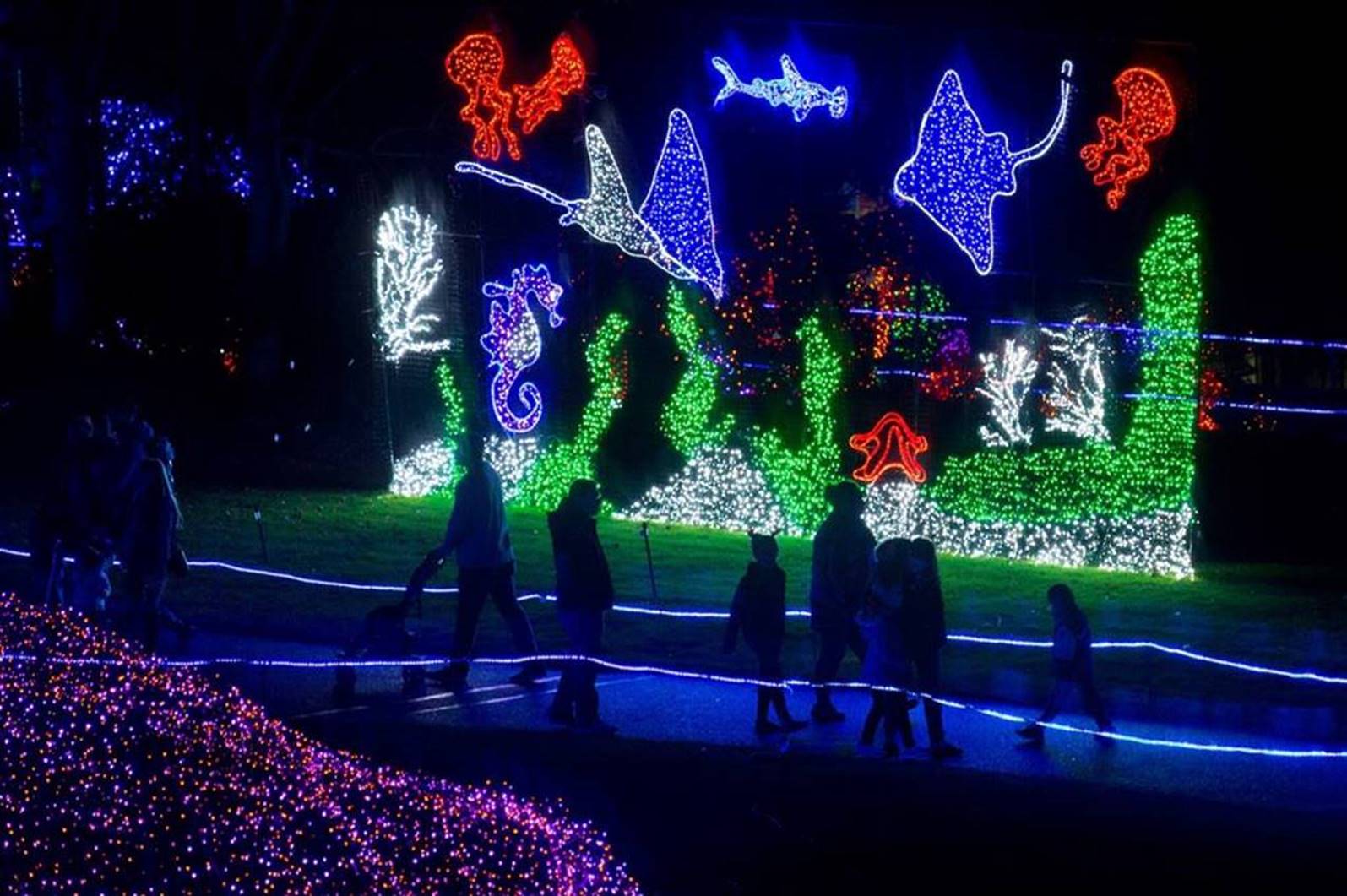 Zoolights Point Defiance Zoo SouthSoundTalk