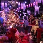Festival of Trees