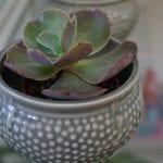 Jade & Co Boutique