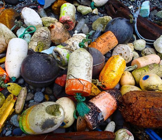 Plastic debris on beach