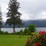 View of Lake Quinault with red flowers