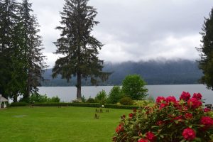 View of Lake Quinault with red flowers