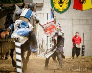 Washington Midsummer Renassiance Faire Yetter Knights