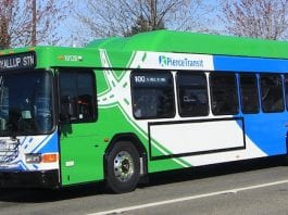 Pierce Transit Buses