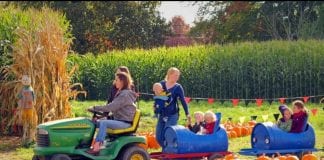 Picha Farms Pumpkin Patch