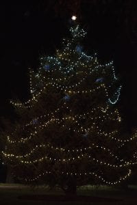 Christmas Tree SMU