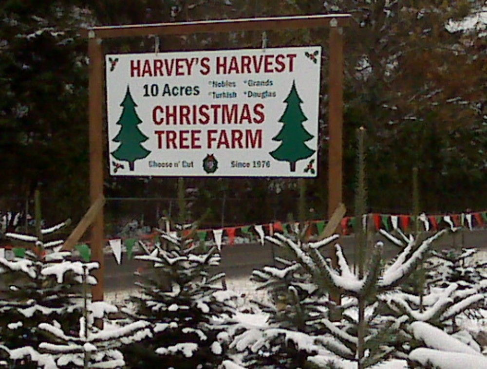Once you've cut your tree and loaded it on your vehicle, stay awhile and enjoy a hot cup of cocoa, spiced cider or coffee around their outdoor fire pit. Photo credit: Harvey's Harvest Christmas Tree Farm