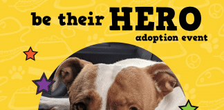The Humane Society for Tacoma and Pierce County