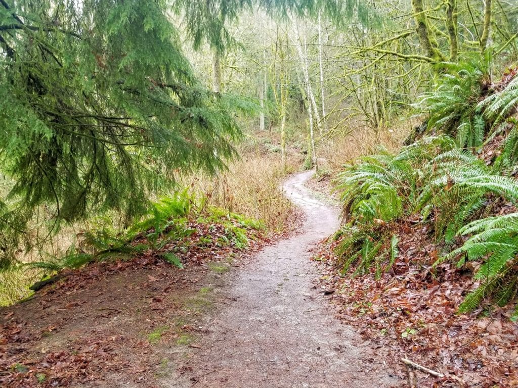 Chambers Creek Trail