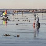 2020 Razor Clam Festival Ocean Shores clam dig