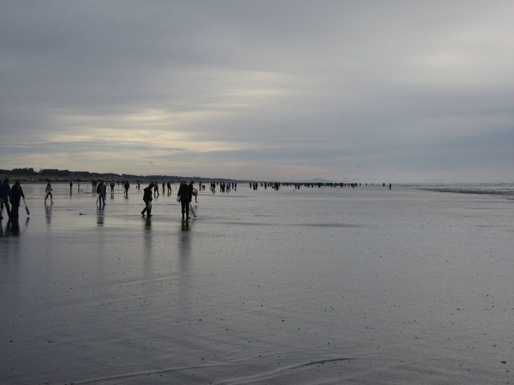 Clam Digging on the Washington Coast