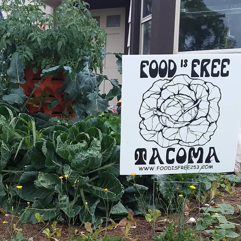 Food is Free Tacoma