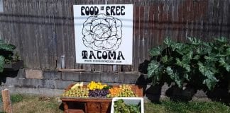 Food is Free Tacoma