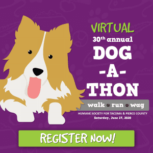 Virtual Dog-A-Thon 2020 @ Your neighborhood, backyard or living room