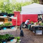 Evergreen-State-College-Organic-Farm-Stand-COVID-19-Farm-Stand