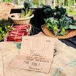 Evergreen-State-College-Organic-Farm-Stand-Farm-Stand-Sign