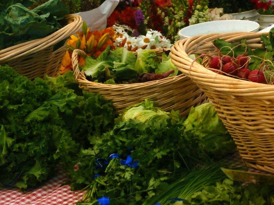 Steilacoom Farmers Market