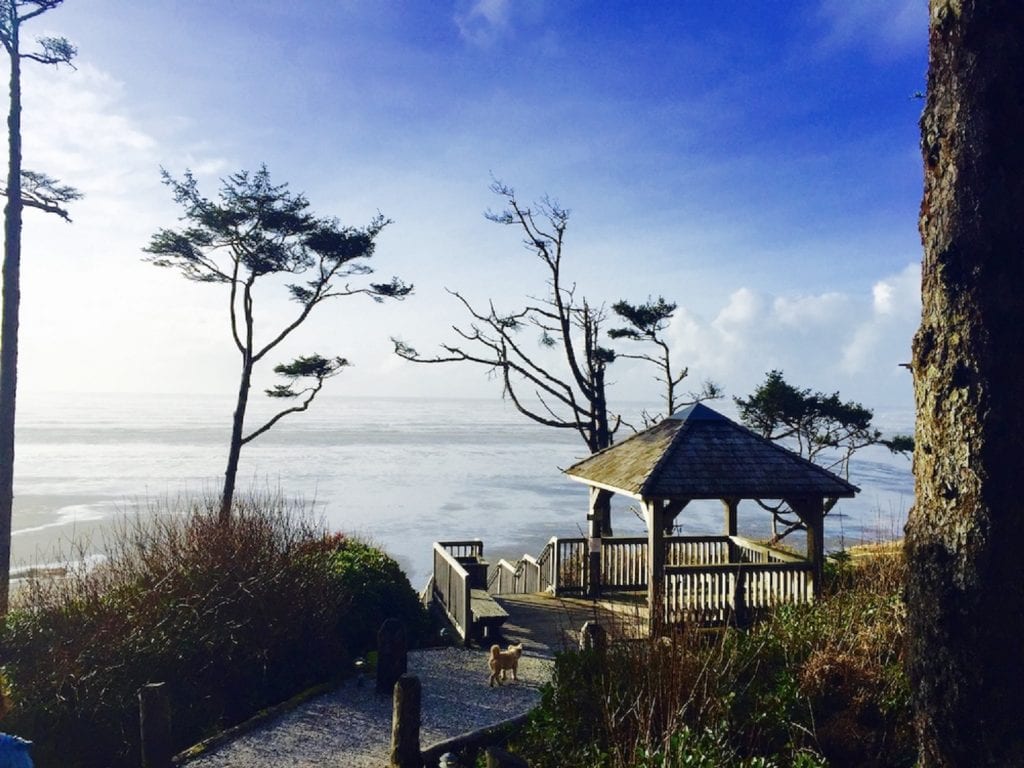 Grays Harbor Beaches