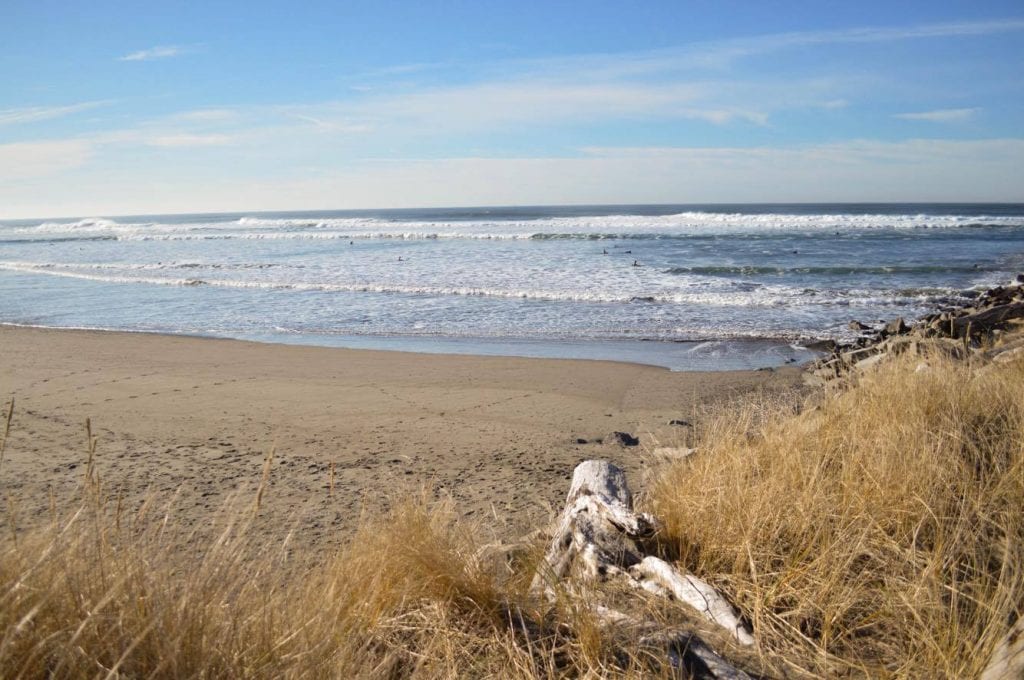 Grays Harbor Beach