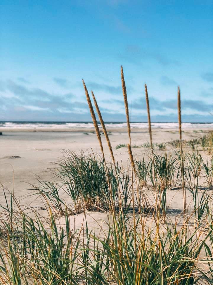 Grays Harbor Beach