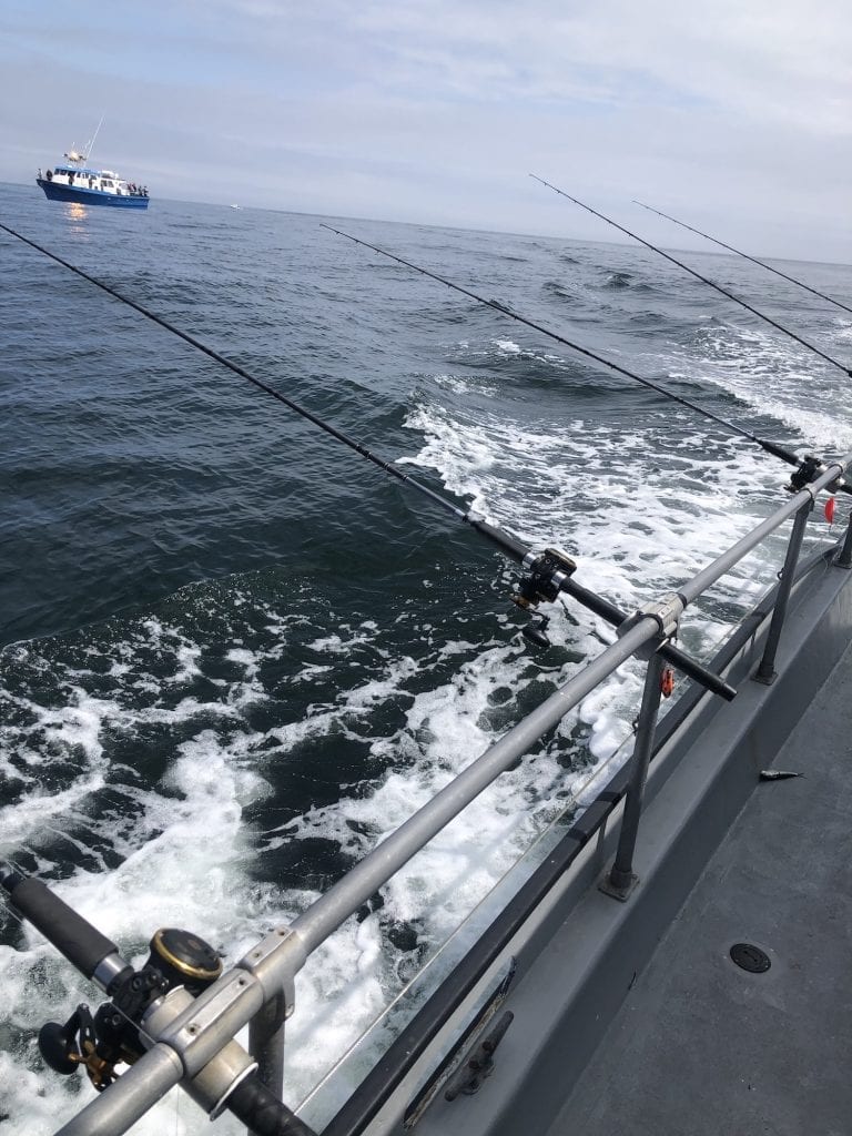 Grays Harbor Fishing