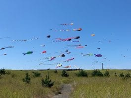 Grays Harbor Kites
