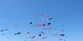 Grays Harbor Kites