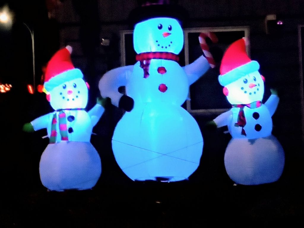 Pierce County holiday lights