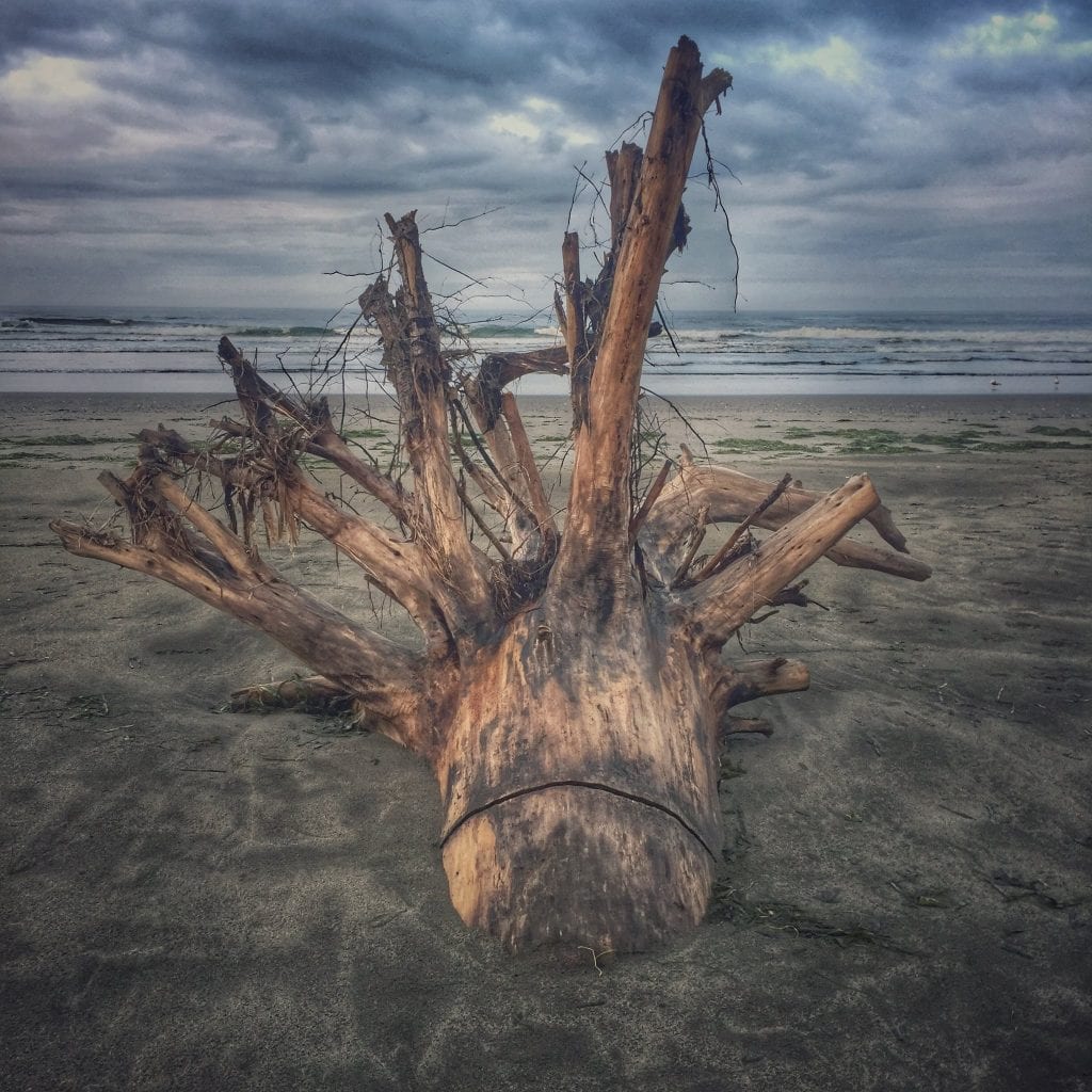 Grays Harbor storm watching