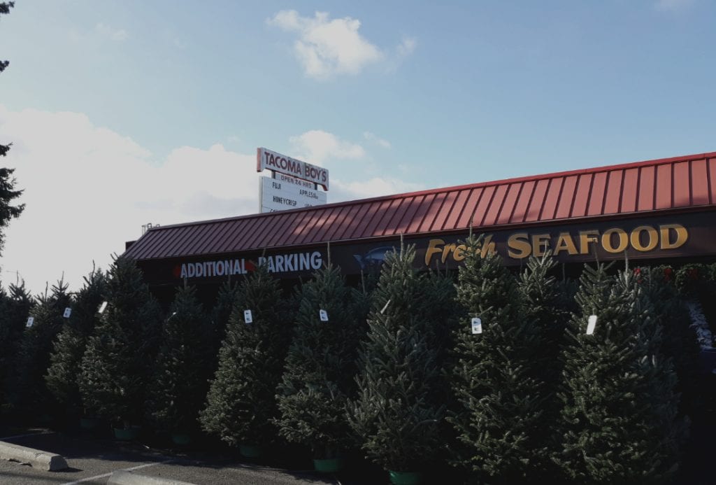 Christmas Trees in Pierce County