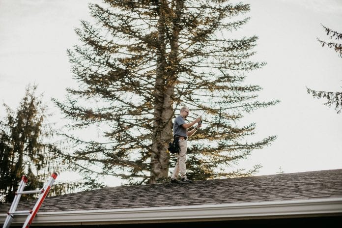 Boggs-Inspection-Services-Winter-Tree-Limbs Boggs Inspection Services