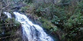 Olympic Peninsula Waterfalls