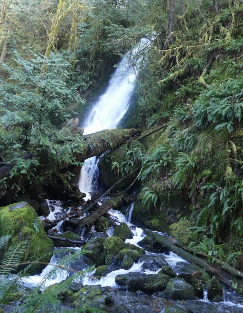 Olympic Peninsula Waterfalls