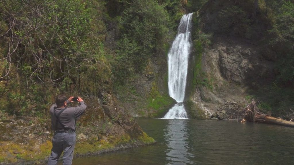 Olympic Peninsula Waterfalls