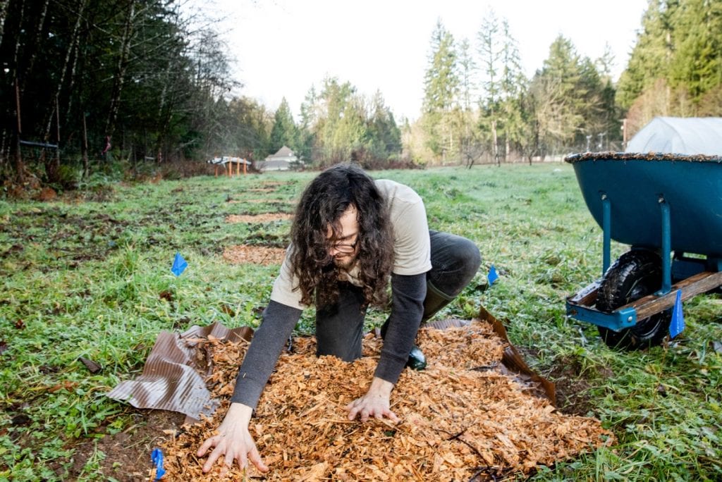 The Evergreen State College