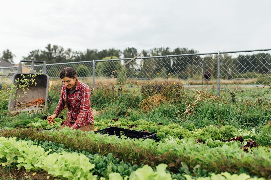 Pierce County Tacoma CSA