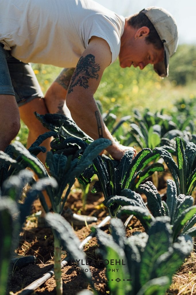 Pierce County Tacoma CSA