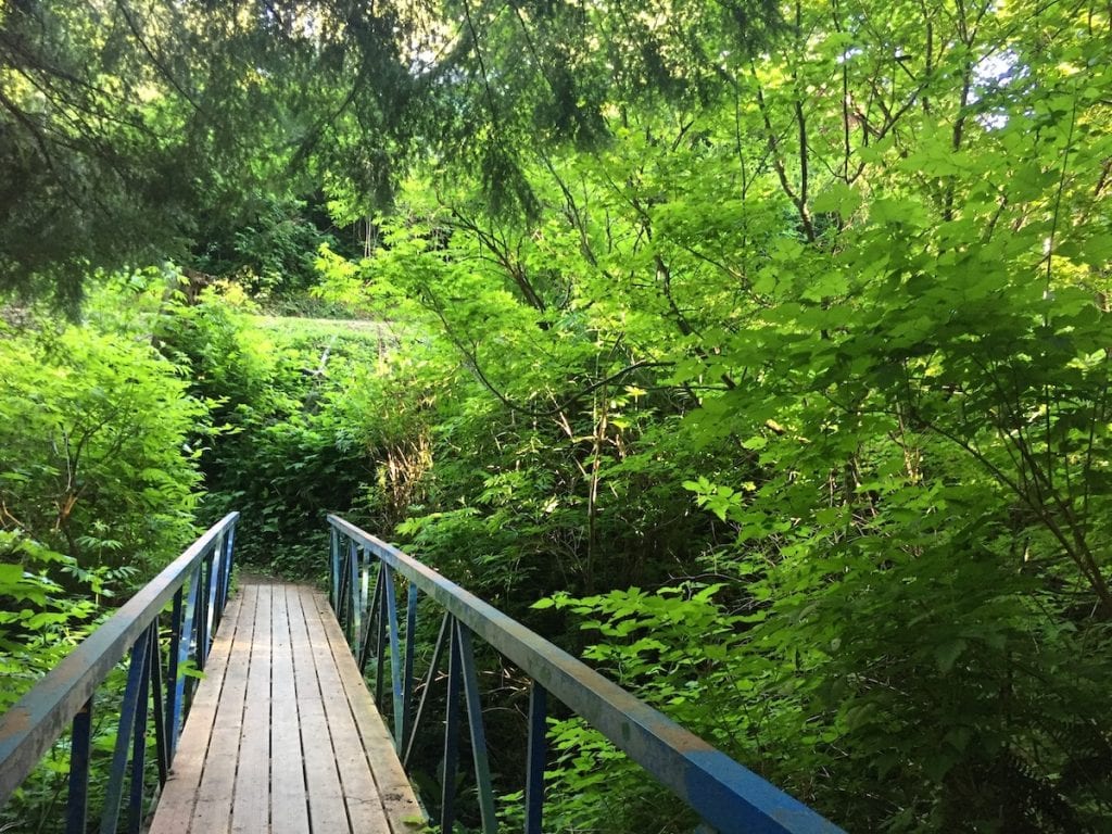 Grays Harbor Hike