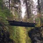 Grays Harbor bridges Pony Bridge Quinault