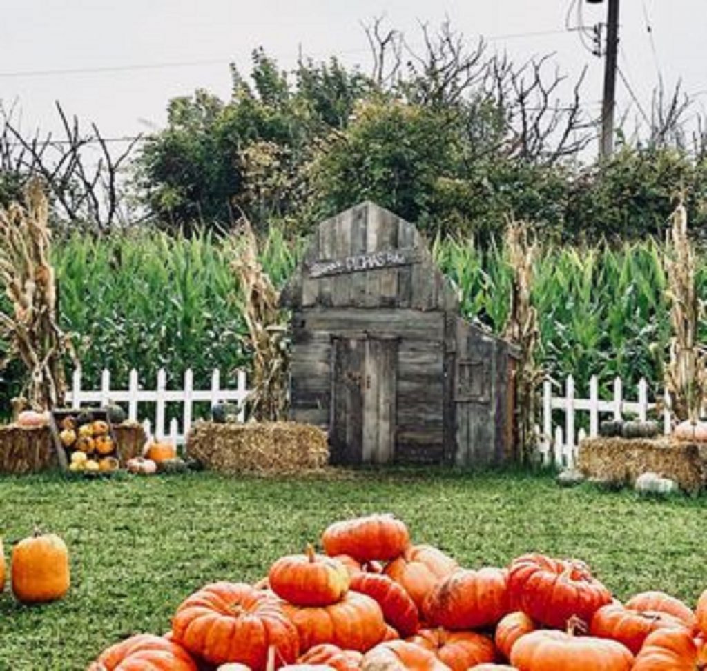 2021 Pumpkin patches corn mazes Pierce County