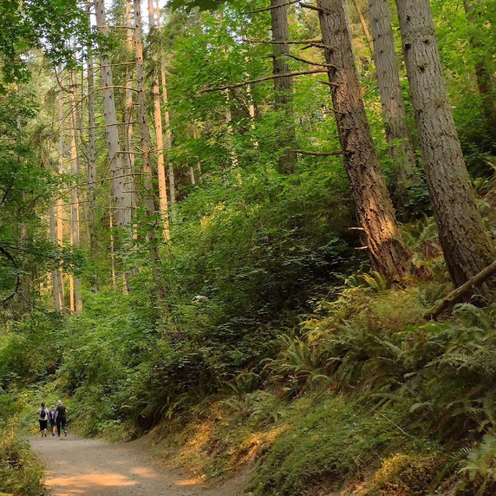 Pierce County Hikes