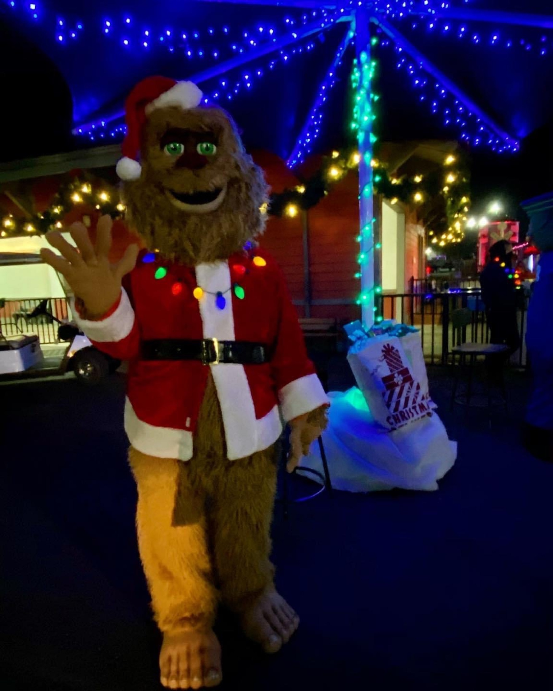 Pierce County holiday light displays Puyallup Fairgrounds SouthSoundTalk