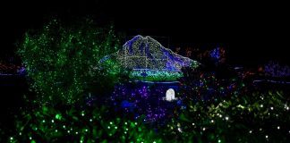 Pierce County holiday light displays