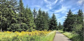 Yelm-Rainier-Tenino Trail