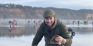 Grays Harbor razor clams