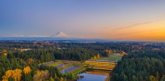 weyerhaeuser headquarters federal way