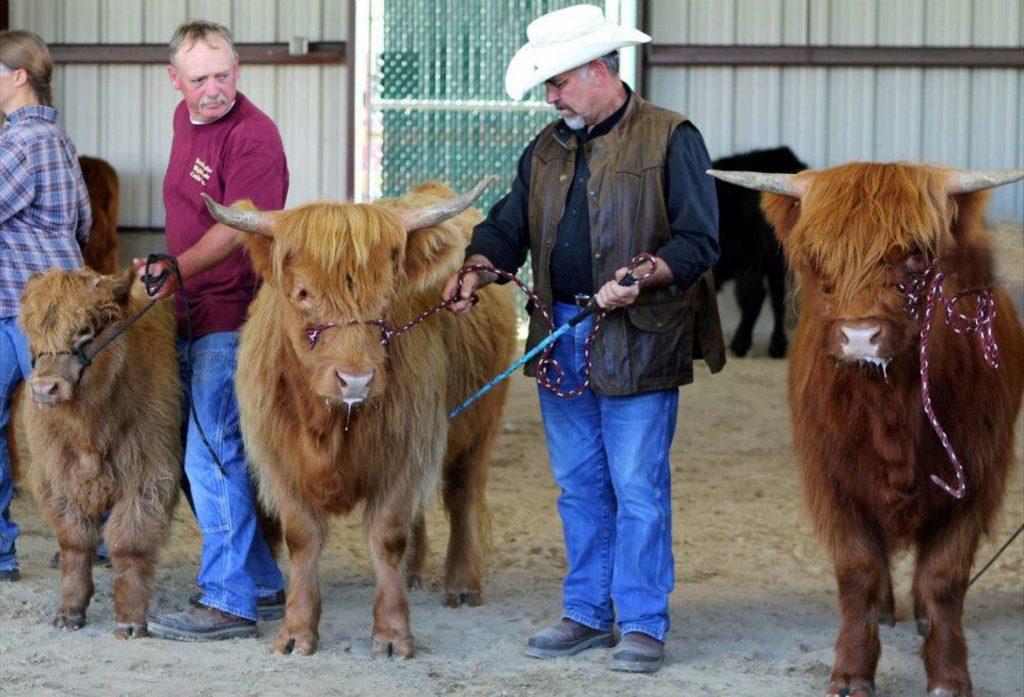 Grays Harbor County Fair